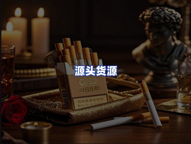 专业团队